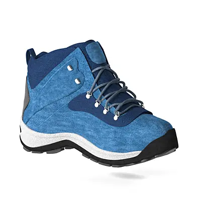 Shoe Timperland