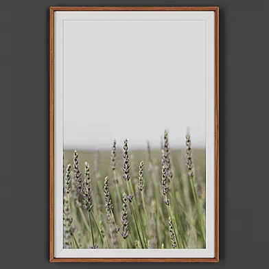 Picture frame 00046-73