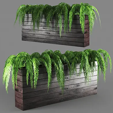 plant916