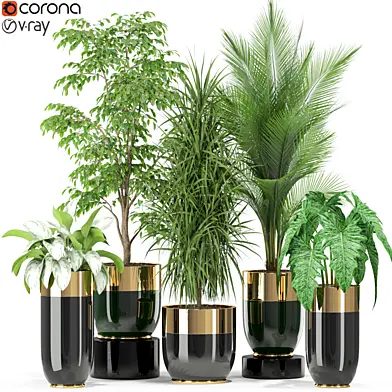 Plants collection 424