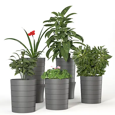 flower pots