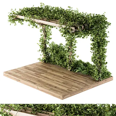 Ivy Plants on Pergola