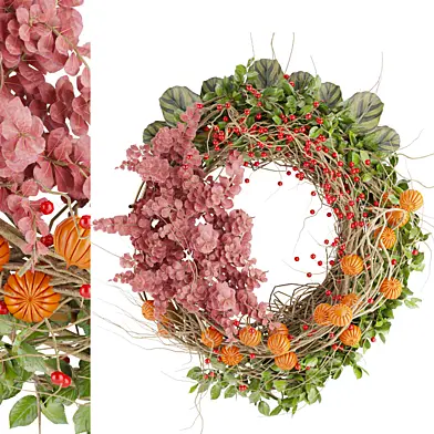 Collection plant vol 21