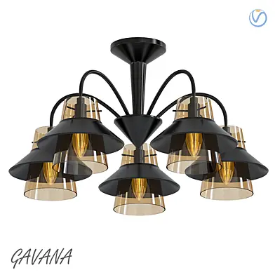 Gavana