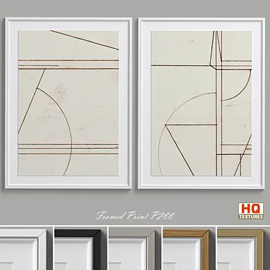 Framed Print P-288