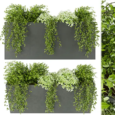 Collection plant vol 48