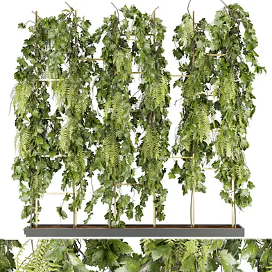 Collection plant vol 62