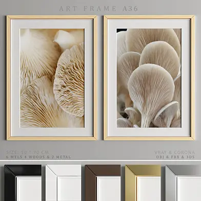 Art Frame A36