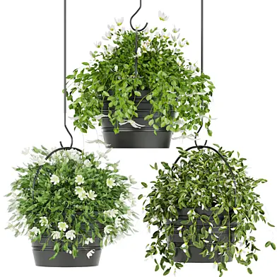 Collection plant vol 66