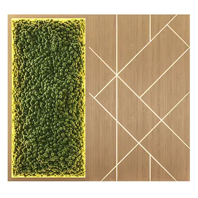 PhytoWall Geometry