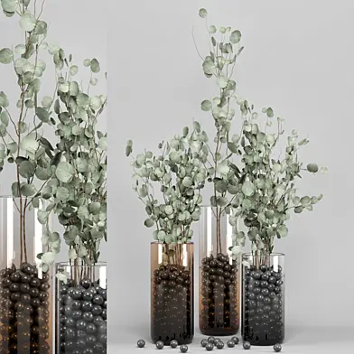 indoor Plant Set 03 - Eucalyptus bouquet