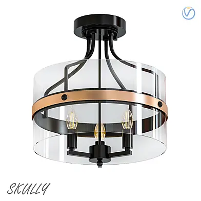 Carbon Loft Skully
