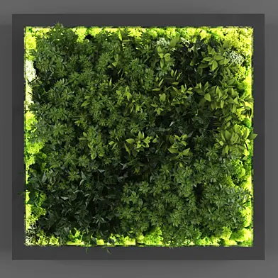 Vertical garden 129