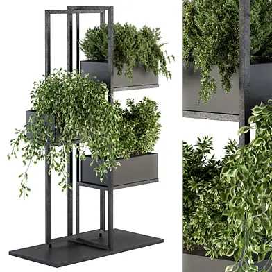 Black Box Plants on stand 06