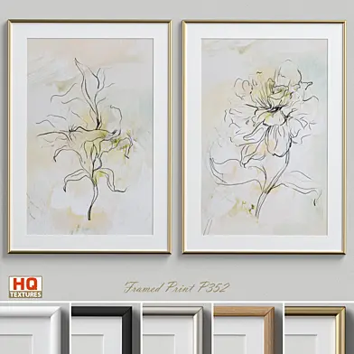 Framed Print P-352