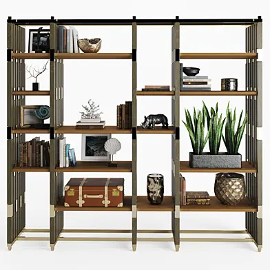 Inedito Asnaghi Ponya bookcase