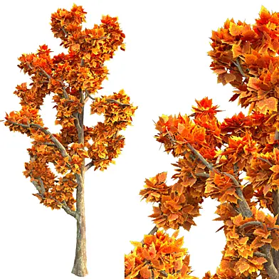 tree02