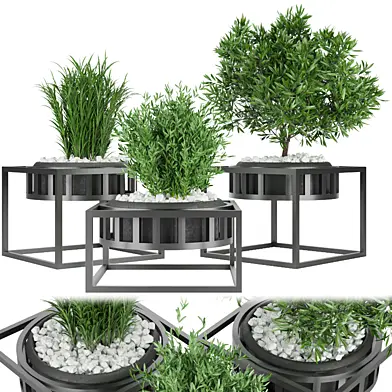 Collection plant vol 97