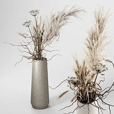 Dried Plants Bouquet in Vase