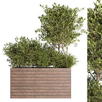 Outdoor plant 10