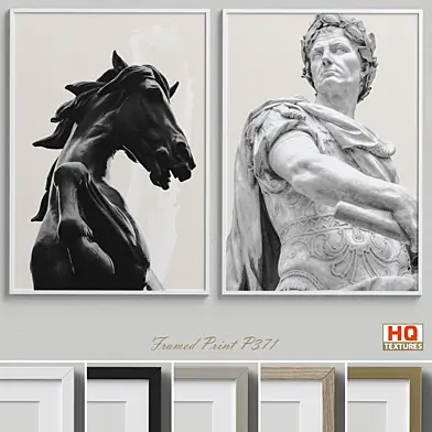 Framed Print P-371
