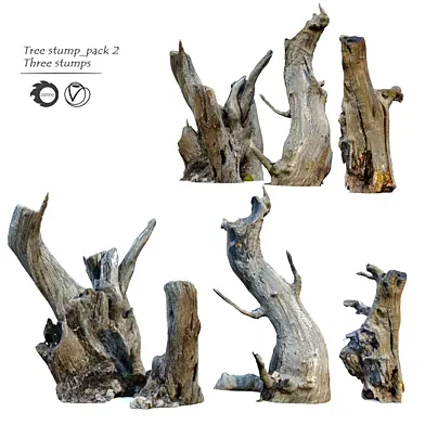 Tree stump _pack_2