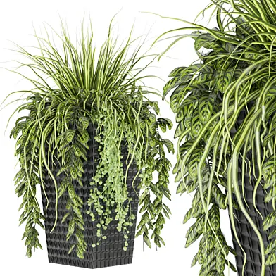 Collection plant vol 128