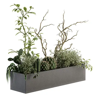 indoor Plant Set 194 - Plant Box