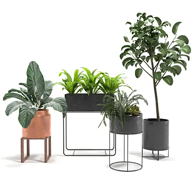 Vase Pack 5