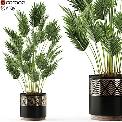 Plants collection 468