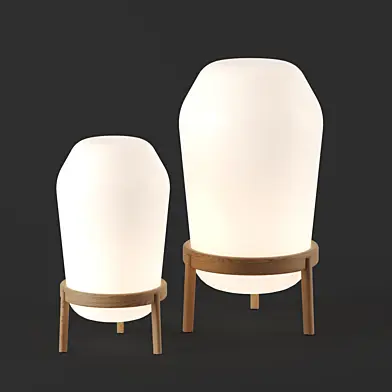 LOON floor lamp by Dedon