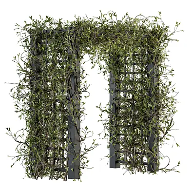 The plants pergola - Outdoor Plants 195