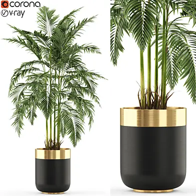 Plants collection 483