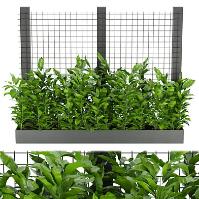 Collection plant vol 148