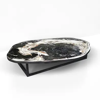 Petrified Wood Slice Coffee Table 1