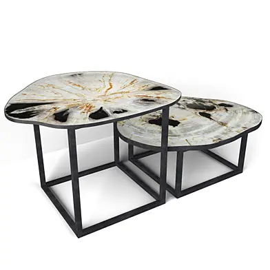 Petrified Wood Slice Coffee Tables
