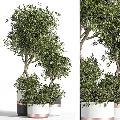Indoor Plant Set 02