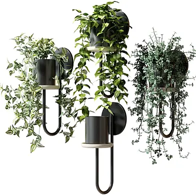 Ампельные растения в настенных кашпо CIGALES WALL От Miniforms
