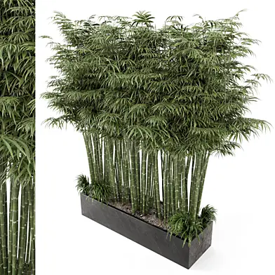 Outdoor Plants Bamboo  in rusty Concrete Pots - Set 109