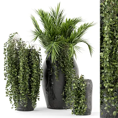 Outdoor Plants bush and Tree in rusty Concrete Pot - Set 110