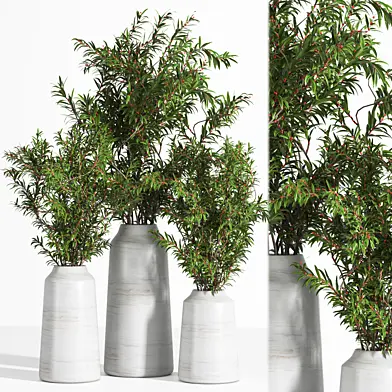Bouquet_Gray branch in the pot