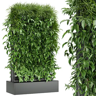 Collection plant vol 168