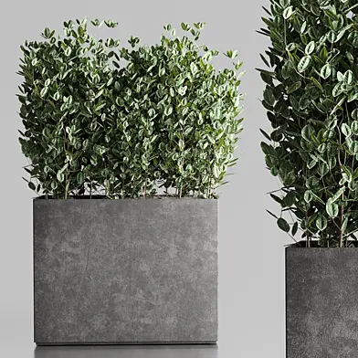 collection outdoor plant 25 concrete vase bax