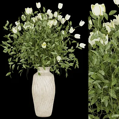 Collection plant vol 186