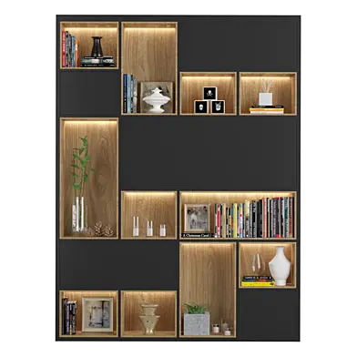 bookcase 04