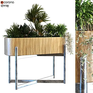 plant in box set 068