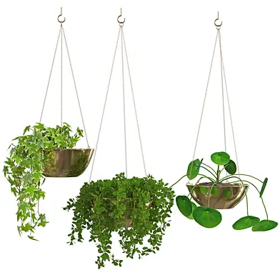 Houseplant 68