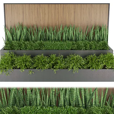 Collection plant vol 198