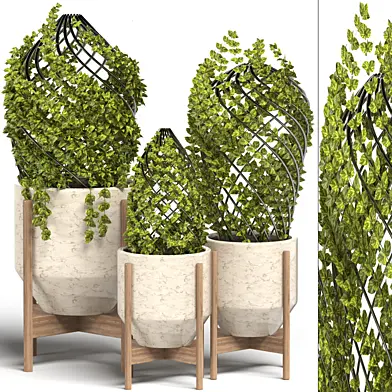 indoor plants set02