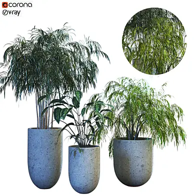 plant in box set 070